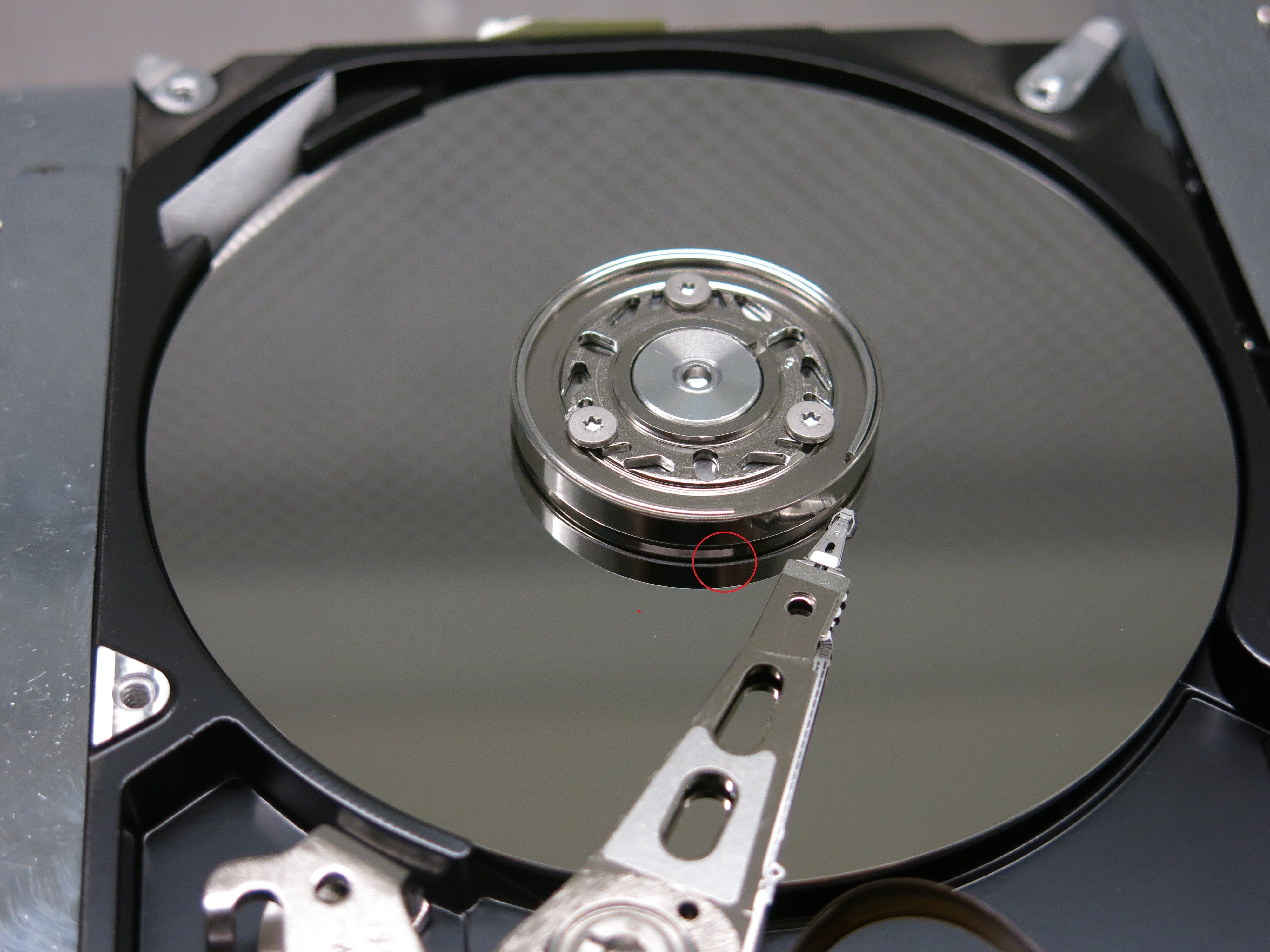 Data Recovery Santo Domingo